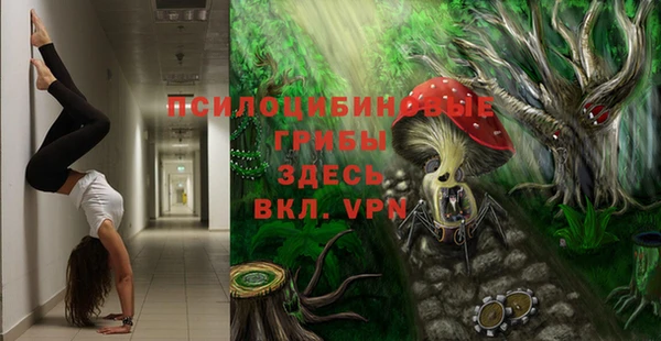 МДПВ Верхний Тагил