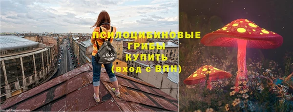 спиды Верея