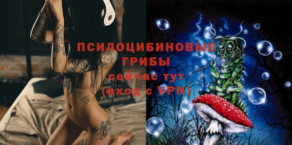 МДПВ Верхний Тагил