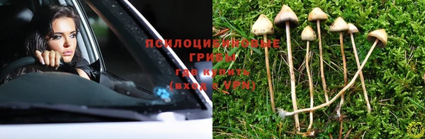 МДПВ Верхний Тагил