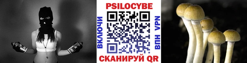 Псилоцибиновые грибы Magic Shrooms  Купить закладки  Мышкин 