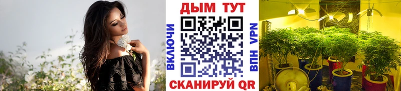 МАРИХУАНА ГИДРОПОН  Купить где  Мышкин 
